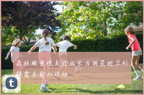 森林狼重视麦丹成长为明星控卫补强需求愈加迫切